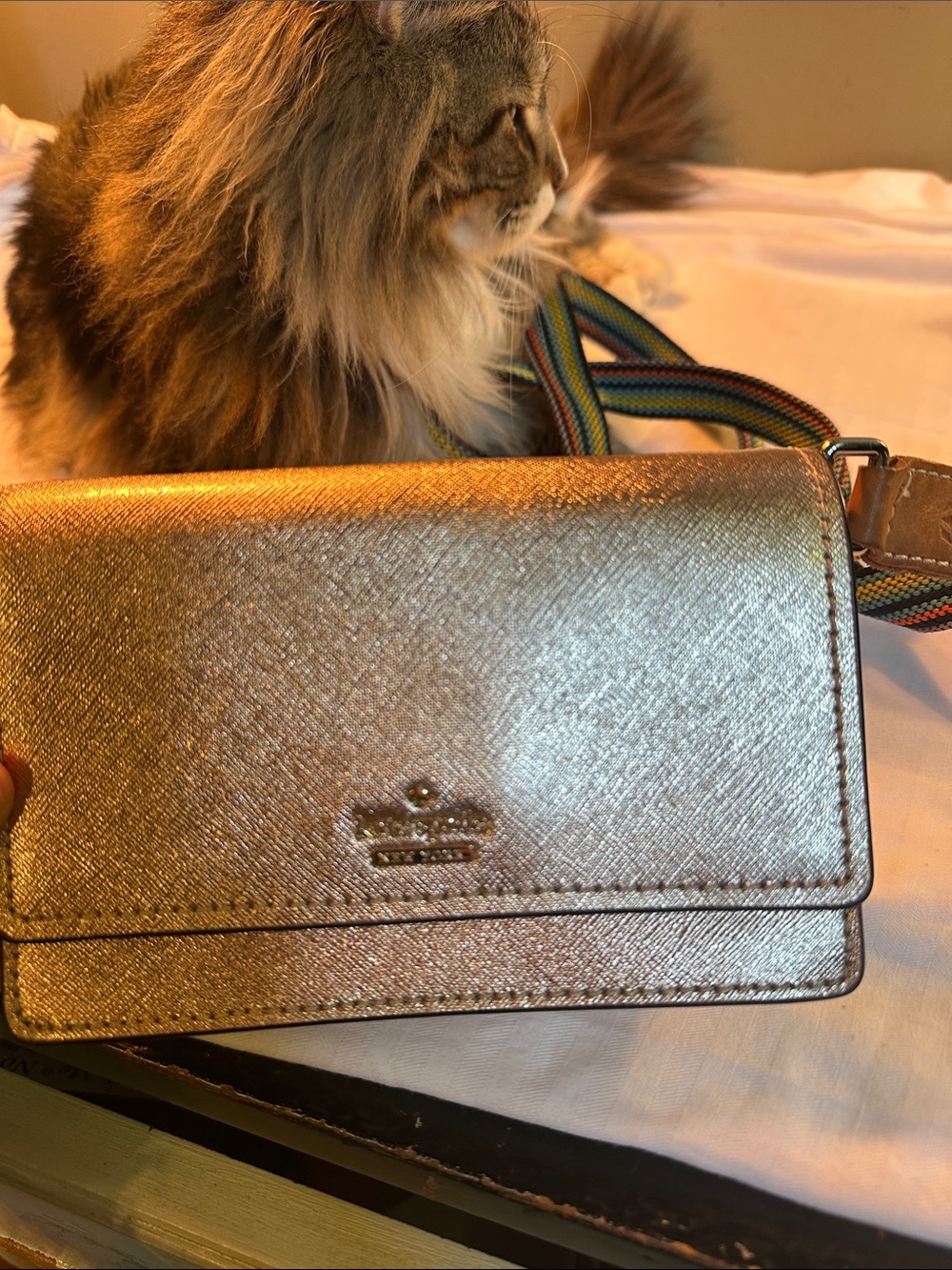 Kate Spade ♠️ Metallic Gold Crossbody Wallet with Striped Strap